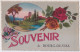B14-82) BOURG DE VISA - SOUVENIR - CARTE FANTAISIE COLORISEE - FLEURS : ROSES - PAYSAGE  - ( 2 SCANS ) - Bourg De Visa