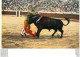 Corrida De Toros . Estocada . (arènes , Taureaux , Toréro ... ) . - Corridas