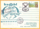 1992 Moldova Moldavie Moldau Special Cancellations. Kodrii Moldova.  Forest. Wood Pigeon 3 Postcard. Limited Edition. - Moldova