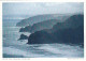 AK 212778 NEW ZEALAND - Küste Von Piha Bei Auckland - Neuseeland