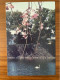 China Postal Card Postcard Travel Cherry Blossom Tree Lake Swan Japan Tourism Trees Flowers Flora Flower Animals Bird - Alberi