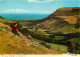 Irlande Du Nord - Antrim - The Vale Of Glenariff - CPM - Voir Scans Recto-Verso - Antrim