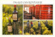 Vignes - Charente - Multivues - Bouteille De Vin - CPM - Voir Scans Recto-Verso - Wijnbouw