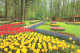 BEAUTIFUL GARDENS, LISSE, HOLLAND. UNUSED POSTCARD M5 - Lisse