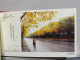 Delcampe - Booklet Lot Of 20, Shopping Mall, Commercial District, Park, Train Station, Xinzhuang  , Shanghai, CHINA POSTCARD - Chine