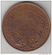 C1 MEDAILLE Ecole Arts Industriels LA MARTINIERE 1880 Bronze LYON 50 Mm ATTRIBUE Port Inclus France - Autres & Non Classés