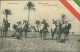 LIBIA / LIBYA - TRIPOLI BARBARA - FANTASIA ARABA - GUERRIERI / WARRIORS - PHOTO MICELI - 1910s (12462) - Libya