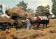 Animaux - Vaches - Fenaison - On Rentre Le Foin - Attelage De Bœufs - Paysans - CPM - Voir Scans Recto-Verso - Kühe