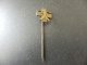 Old Pin Anstecknadel  - Schweiz Switzerland - Jugendskilager - Non Classificati