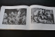 JULIUS S. HELD RUBEN'S LEOPARDS ORIGINALE DE MIA MANO ENVOI DEDICACE 1970 Pierre Paul Ecole Baroque Flamande XVIIè RARE - Fine Arts