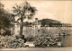 Großschönau (Sachsen) Waldstrandbad  Ansichtskarte  1962 - Grossschoenau (Sachsen)