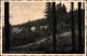 Ansichtskarte Zwiesel-Bad Gottleuba-Berggießhübel Panorama - Foto AK 1937 - Bad Gottleuba-Berggiesshübel