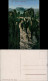 Ansichtskarte Rathen Basteifelsen 1913  - Rathen