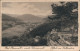 Ansichtskarte Bad Herrenalb Panorama-Ansicht - Blick Vom Falkenstein 1929  - Bad Herrenalb