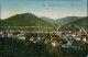 Ansichtskarte Bad Lauterberg Im Harz Panorama-Ansicht 1921 - Bad Lauterberg