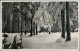 Ansichtskarte Bad Lauterberg Im Harz Harz Im Winter Waldesruhe 1940  - Bad Lauterberg