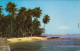 Postcard Insel Uvita Isla Uvita Strandhütte Palmen 1970 - Costa Rica