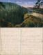 Ansichtskarte St. Goarshausen Loreley - Blick Ins Triebtal 1921 - Loreley