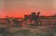 LIBYA / LIBIA - TRIPOLI - TRAMONTO IN AFRICA / SUNSET IN AFRICA - EDIZIONE BRUNNER - 1920s (12473) - Libyen