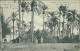 LIBYA / LIBIA - TRIPOLI - PALMEN IN DER OASE / BEDUINENZELTEN - ANNULLO E FRANCOBOLLO TRIPOLI DI BARBERIA - 1910 (12476) - Libia