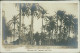 LIBYA / LIBIA - TRIPOLI - MARKET / MERCATO DEL VENERDI NELL'OASI - RPPC POSTCARD - 1910s (12493) - Libya