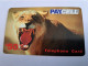 AUSTRALIA / PAY CEL / $50,- LION/LYON/ MUSTER/  DUMMY/ SAMPLE / TEST CARD /   MINT  ** 16557** - Australie