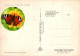 MARIPOSAS Vintage Tarjeta Postal CPSM #PBZ918.ES - Vlinders