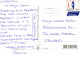 VACA Animales Vintage Tarjeta Postal CPSM #PBR799.ES - Kühe