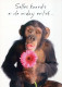 AFFE Tier Vintage Ansichtskarte Postkarte CPSM #PBS024.DE - Singes