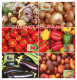 LIBYA 2014 Vegetables (6 Maximum-cards) - Agriculture