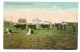 Postcard Canada Manitoba Winnipeg Agricultural College Cows In Field Posted 1912 Long Message - Winnipeg