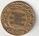 Médaille D'honneur Du Travail En Bronze INSTITUT POUR LA FIDELITE DANS LE TRAVAIL - HENARD B - Professionnels / De Société