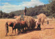 Animaux - Vaches - Attelage De Bœufs - Paysans - Fenaison - Photo Francis Debaisieux - CPM - Carte Neuve - Voir Scans Re - Kühe