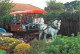 Animaux - Chevaux - Royaume-Uni - The Raiiway Tavern, Holt, Norfolk - The Holt Flyers - Little Joe En Route - Carte Neuv - Pferde