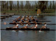 Rudern Vierer Ohne Steuermann Mexiko 1968 - Rowing