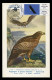 GREENLAND (2023) Carte Maximum Card ATM - White-tailed Eagle, Haliaeetus Albicilla, Pygargue à Queue Blanche, Bird Prey - Cartes-Maximum (CM)