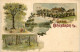 Gruss Aus Offenbach - Mertes Felsenkeller - Litho - Offenbach