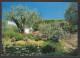 094187/ Francis BENDLER, Jardin Méditerranéen, Ed Compa Carterie Aix-en-Provence - Autres & Non Classés