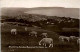 Shanklin & Sandown Bay From The Downs - Autres & Non Classés