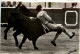 Cogida - Dangerous Accident Of The Bullfighter - Corridas
