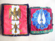 RARE - LOT 2 INSIGNES : INSIGNE TISSU : 15e DIVISION D'INFANTERIE & INSIGNE TISSU 25e DIVISION PARACHUTISTE - (25e D.P) - Autres & Non Classés