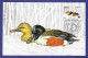 Jugoslawien  1989 , Enten - Maximum Card - First Day  Beograd 23.2.1989 - Cartes-maximum