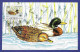 Jugoslawien  1989 , Enten - Maximum Card - First Day  Beograd 23.2.1989 - Maximumkarten