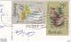 Antilles BARBADES BARBADOS Bathsheba Coast En 1980 VOIR 2 TIMBRES D'Oiseaux - Barbados