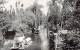 México - XOCHIMILCO - Vista De Un Canal - REAL PHOTO Foto - Ed. Desconocido 75 - Mexiko