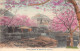 Japan - NAGASAKI - Cherry Blossom Of Nakashima - Autres & Non Classés