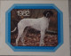 Petit Calendrier De Poche 1982 Chien Pointer Chasse - Chelles Seine Et Marne - Petit Format : 1981-90