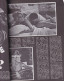 Delcampe - Brigitte BARDOT BB Revue Portugal 140 Pages De PHOTOS Années 70 SACHS DELON HOSSEIN MASTROIANNI FELLINI CINEMA..... - Sonstige Formate