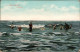 Ansichtskarte Zandvoort In Het Bad - Badegäste 1907  - Zandvoort