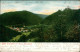 Ansichtskarte Bad Teinach-Zavelstein Stadt Mit Ruine Zavelstein 1904  - Bad Teinach